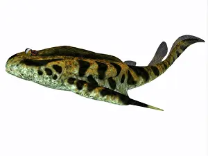 Detritivore: Bothriolepis fish, side profile