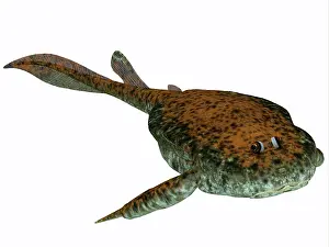 Detritivore: Bothriolepis, a freshwater detritivore from the Devonian ?