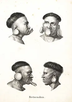 Brodtmann: Botocudo natives of the Amazon, with plugs