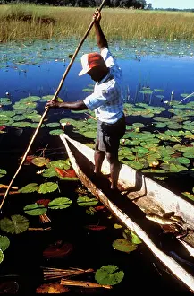 Okavango: Botswana, 1990s : Okavango Delta. photo: Paul Weinberg/South