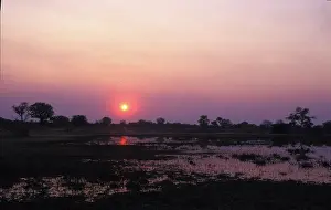 Okavango: Botswana, 1990s : Water hole, Miremi reserve on the