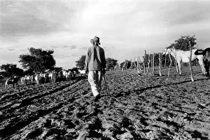 Herdsman: Botswana, Kalahari, Bushmen settlement, 1996. Photo