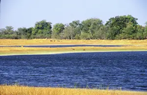 Okavango: Botswana, Okavango Delta, 2000: Scenic, travel, tourist
