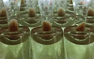 Espace: Bottles, Espace Nicolas Feuillatte, Chouilly, Marne, France