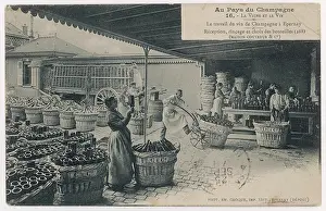 Bottling: BOTTLING AT COUVREUR