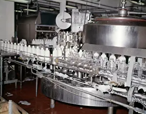 Dairying: Bottling Milk Glass Bottles Machine