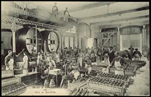Chandon: BOTTLING AT MOET CHANDON