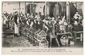 Mumm: BOTTLING AT MUMM'S