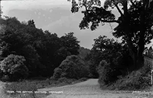 Dirt: The Bottom, Whitmore, Grayshott