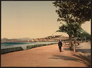 Boulevards: The boulevards, Cannes, Riviera