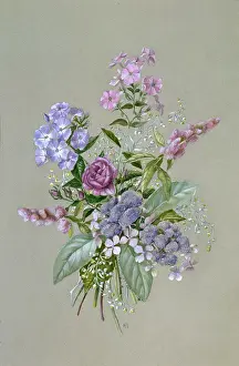 Haynes: A Bouquet