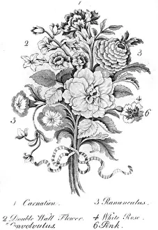 Convolvulus: Bouquet of assorted flowers