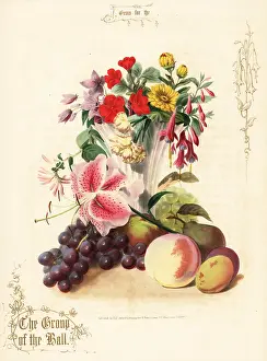 Fuchsia: Bouquet of flowers and fruit