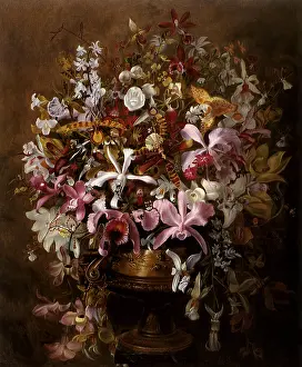 Hays: Bouquet of Orchids