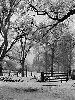 Bourne Road, Bexley
