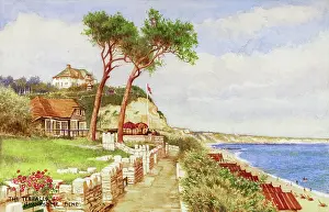 Dene: Bournemouth, Dorset - The Terraces, Branksome Dene