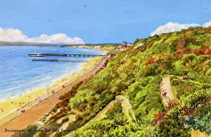 Zigzag: Bournemouth, Dorset, viewed from the Zigzag Path