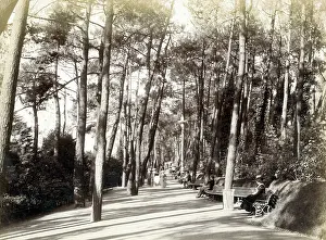 Invalids: Bournemouth - Invalids Walk - the Pier End