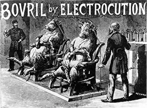 Electrocution: BOVRIL BY ELECTROCUTION