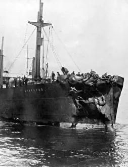 Differed: Bow of Storstad, after collision with Empress of Ireland