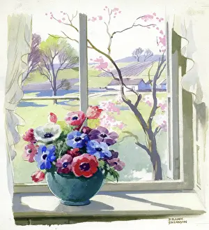 Sill: Bowl of Anemones on window sill