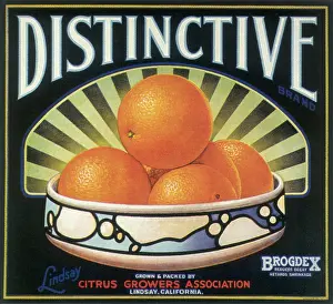 Finely: Bowl of Oranges