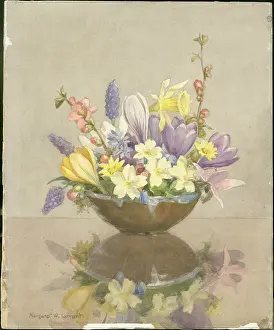 Joyous: Bowl of primroses, blossom, and crocuses