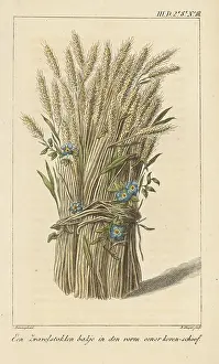 Interior Decoration: Bowl in the shape of a corn-sheaf