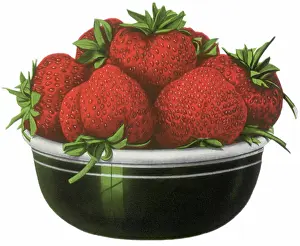 Strawberries: Bowl of Strawberries