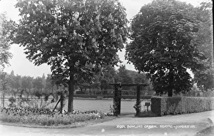 Hedges: Bowling Green in Woking