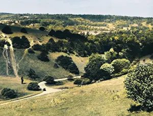 Upcolourisedpic: BOX HILL, SURREY