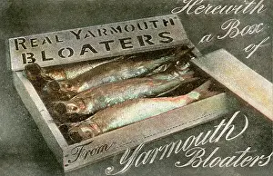 Bloater: Box of Real Yarmouth Bloaters