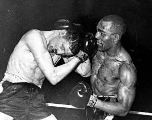 Calderwood: Boxer Chic Calderwood