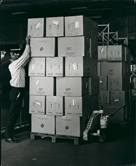 Pleading: Boxes of LPs and Elvis Presley's clothes, Heathrow