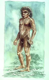 Boxgrove: Boxgrove Man