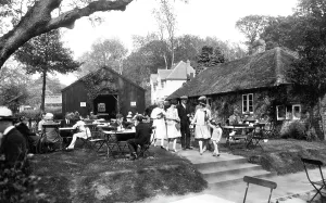 Boxhill: Boxhill, Farm Tea Gardens 1928