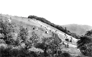 Boxhill: Boxhill, the Slopes, Box Hill 1906