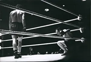 Counted: Boxing