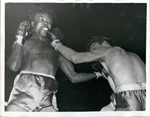 Gavilan: Boxing