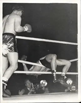 Harringay: Boxing