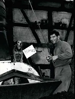 Humez: Boxing
