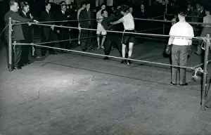 Ember: Boxing