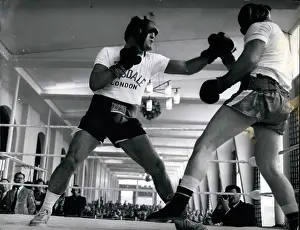 Campers: Boxing