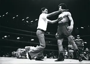 Dull: Boxing