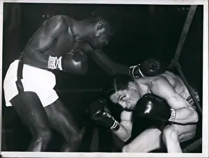 Bassett: Boxing