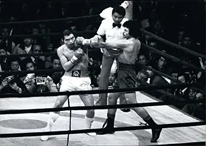 Sensual: Boxing