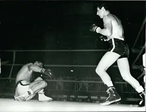 Folledo: Boxing