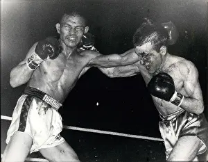 Plucky: Boxing