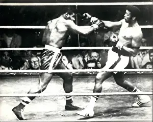 Louisville: Boxing