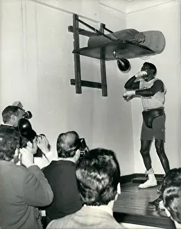 Tittle: Boxing